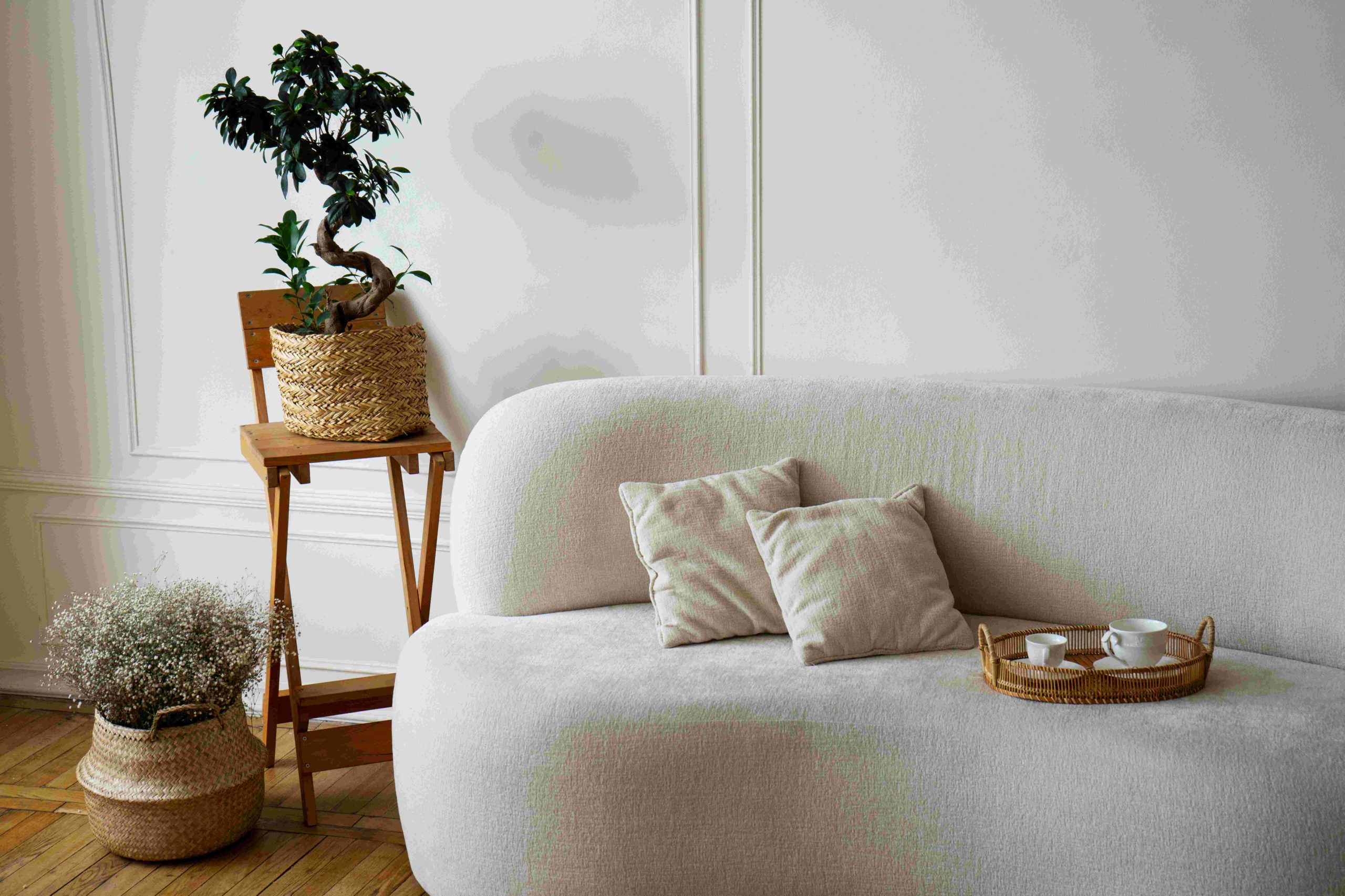 Décoration intérieure